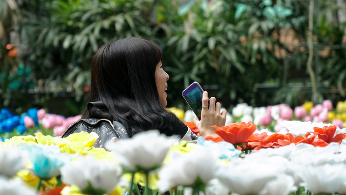 Vườn hoa trong sở thú Sài Gòn bị giẫm nát ngày đầu năm mới